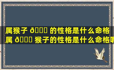 属猴子 🐟 的性格是什么命格「属 🐕 猴子的性格是什么命格呢」